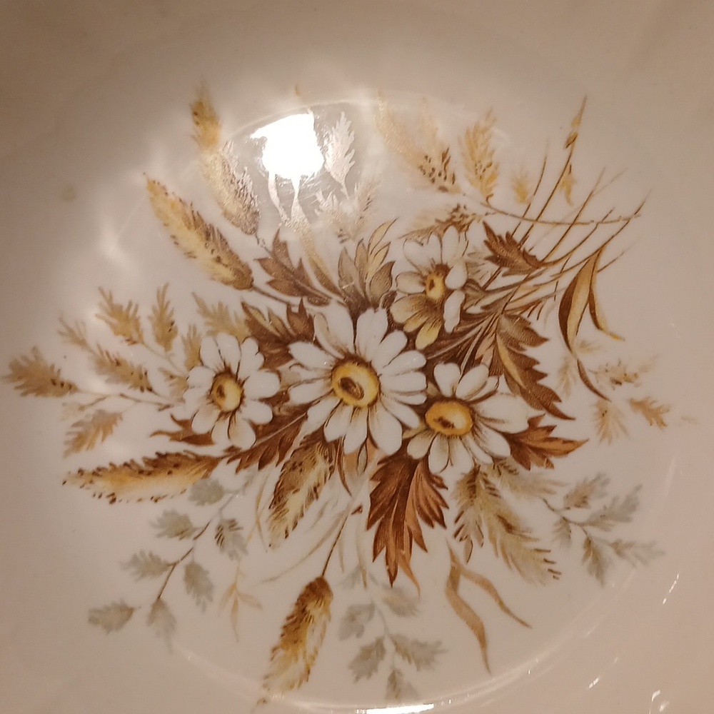 Vintage Limoge USA “Sundale” Serving Bowl